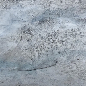 Sea Drawings- Ocean